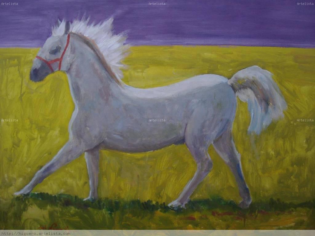 caballo blanco Ã“leo Tabla Animales