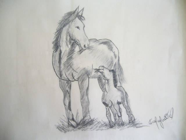 Dibujos de caballos faciles a lapiz - Imagui